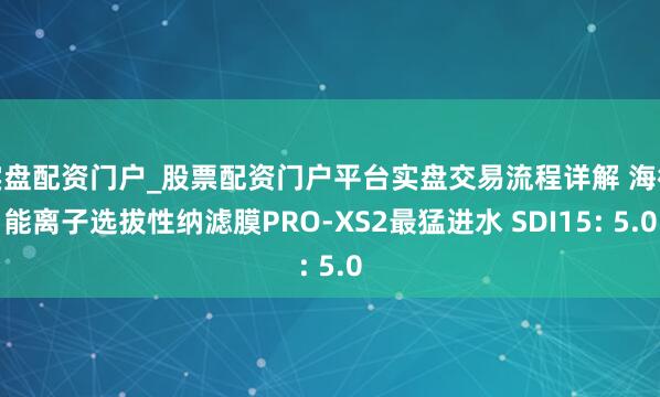 实盘配资门户_股票配资门户平台实盘交易流程详解 海德能离子选拔性纳滤膜PRO-XS2最猛进水 SDI15: 5.0