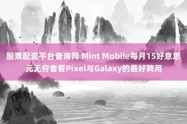 股票配资平台查询网 Mint Mobile每月15好意思元无穷套餐Pixel与Galaxy的最好聘用