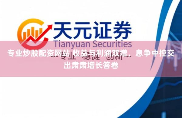 专业炒股配资网站 收益与利润双增，息争中控交出肃肃增长答卷