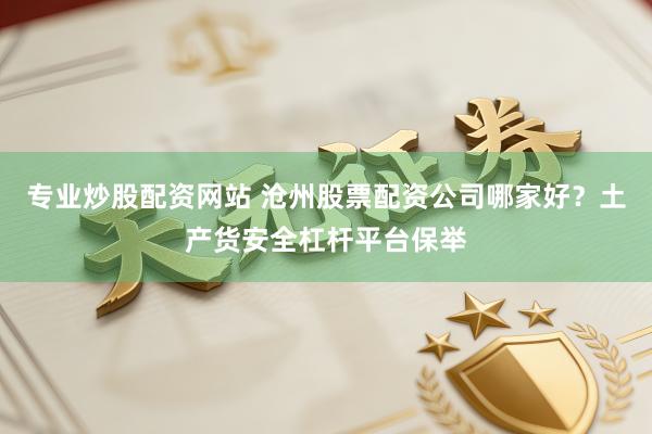 专业炒股配资网站 沧州股票配资公司哪家好？土产货安全杠杆平台保举