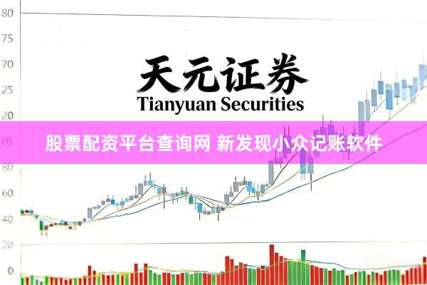 股票配资平台查询网 新发现小众记账软件